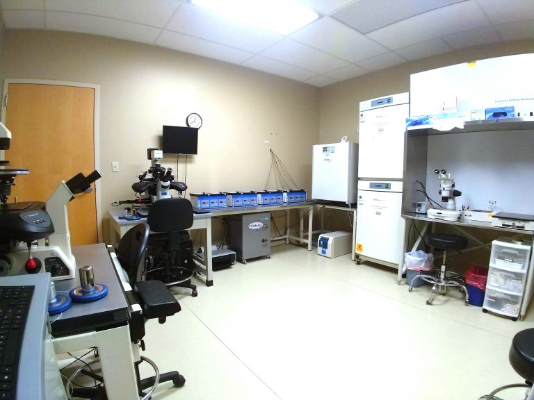 Embryology Laboratory